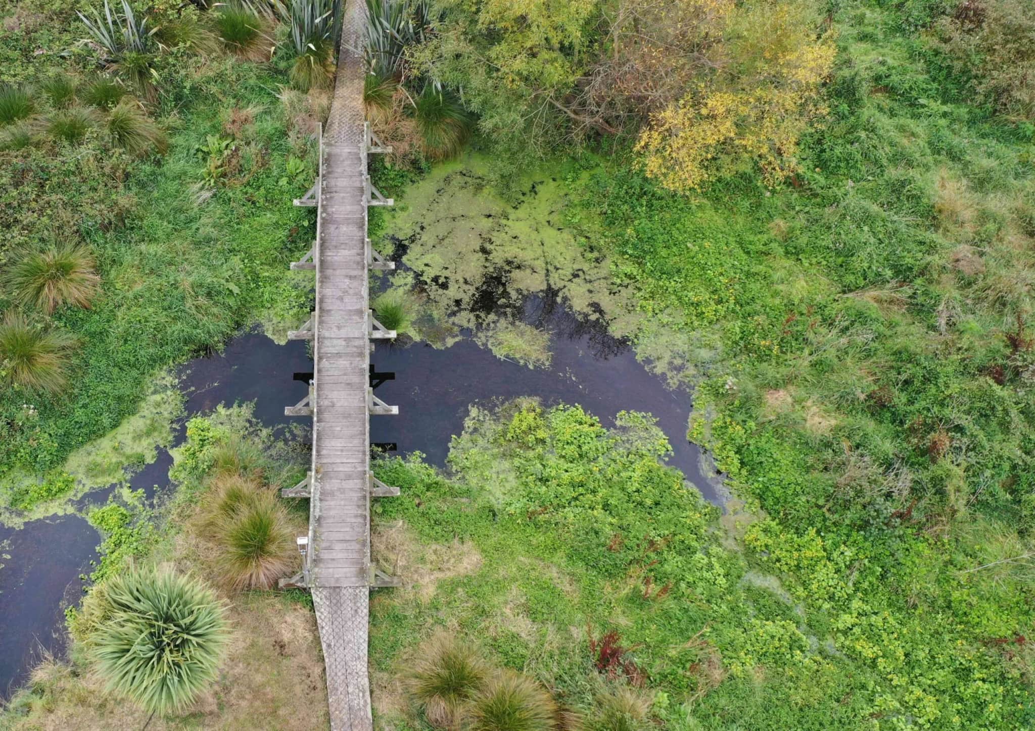 Arowhenua Reserve Regeneration Plan