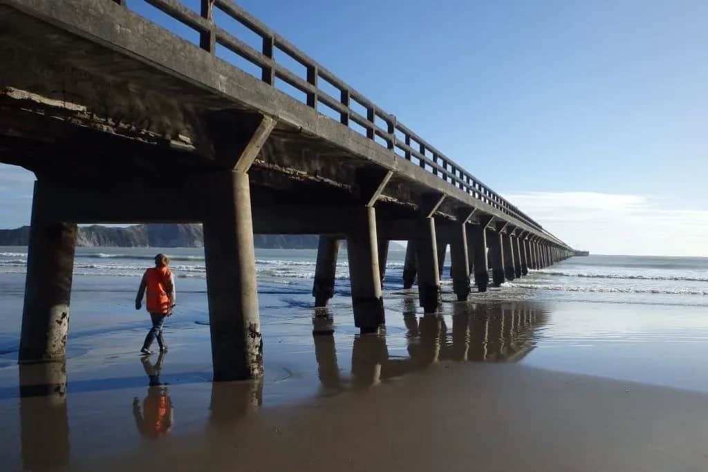 Wharf Inspections