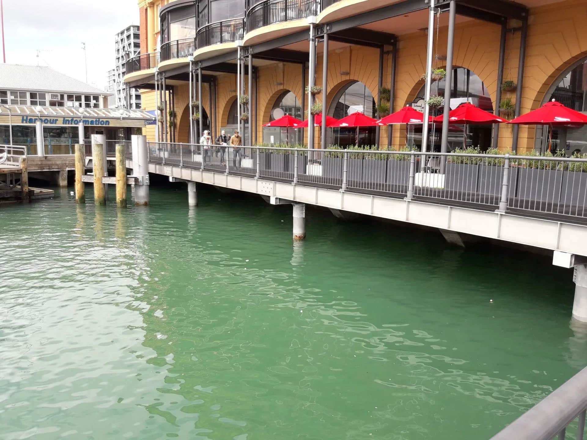 Auckland Ferry Terminal Seawall Repair