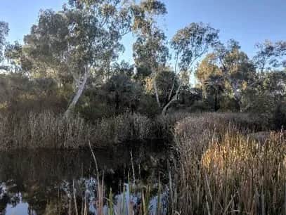 Homestead Managed Aquifer Recharge Trial