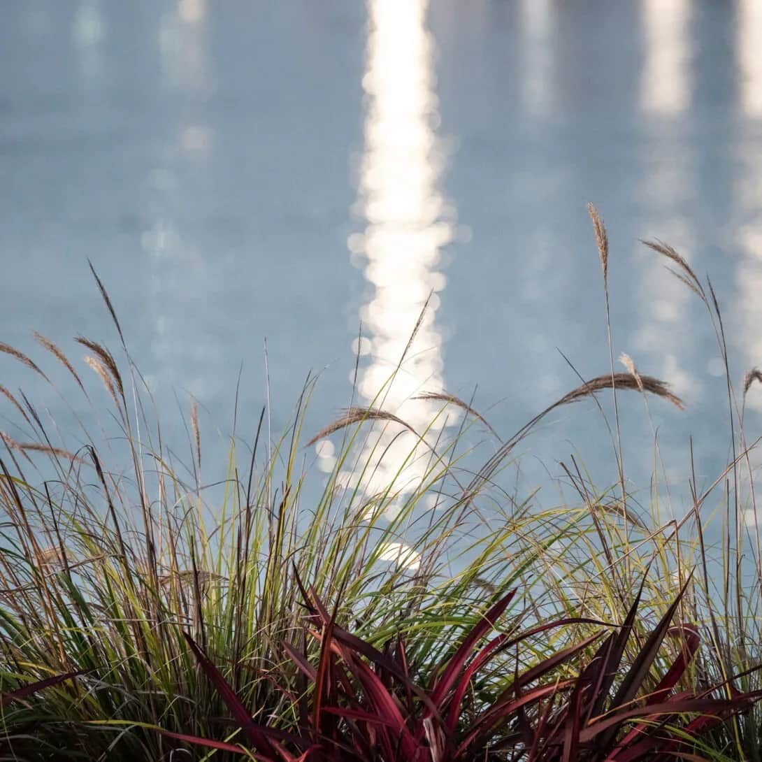 Rivers Streams & Wetlands