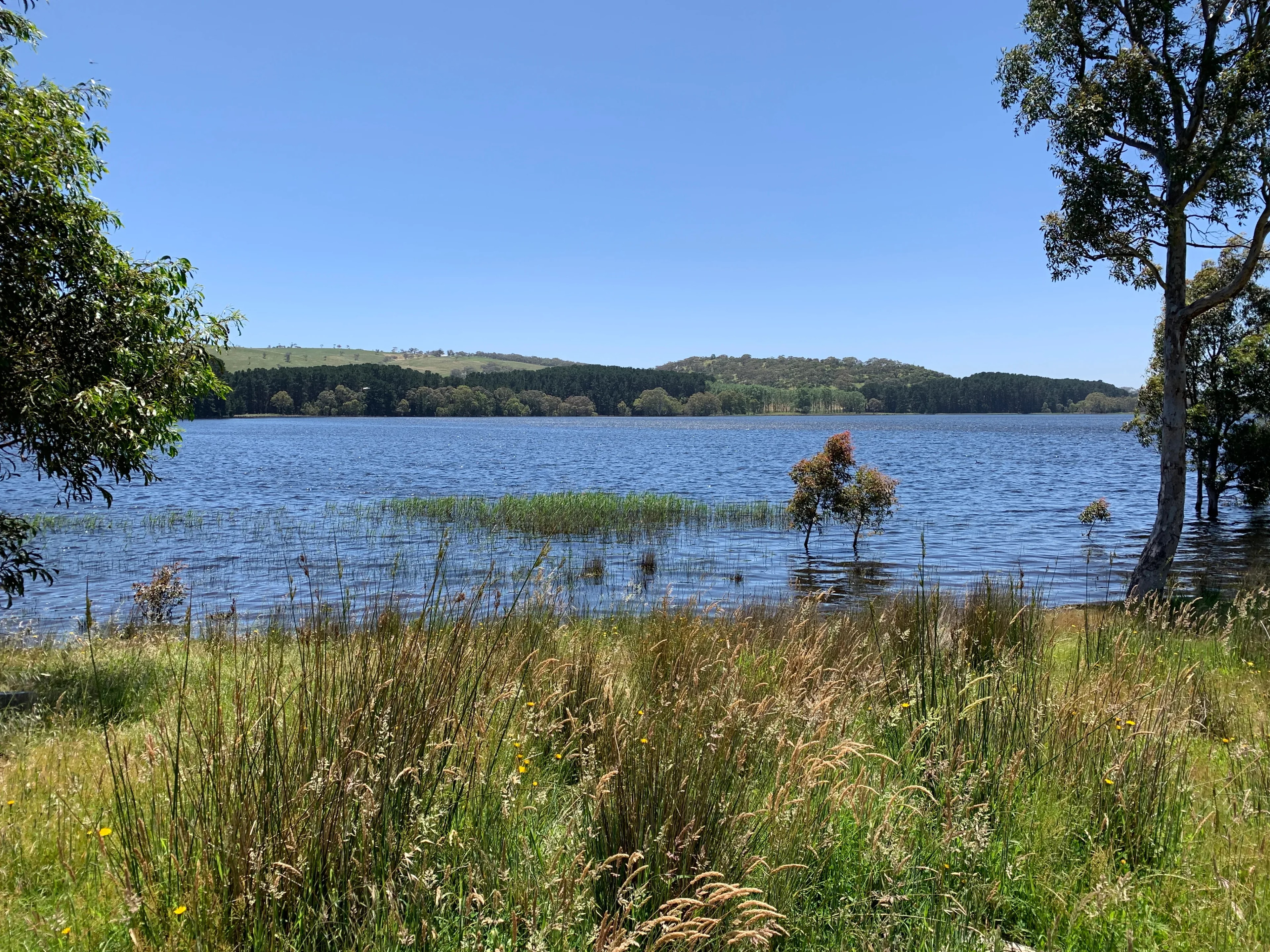 SA Water Reservoirs Environmental Restoration Works and Water Sensitive Urban Design