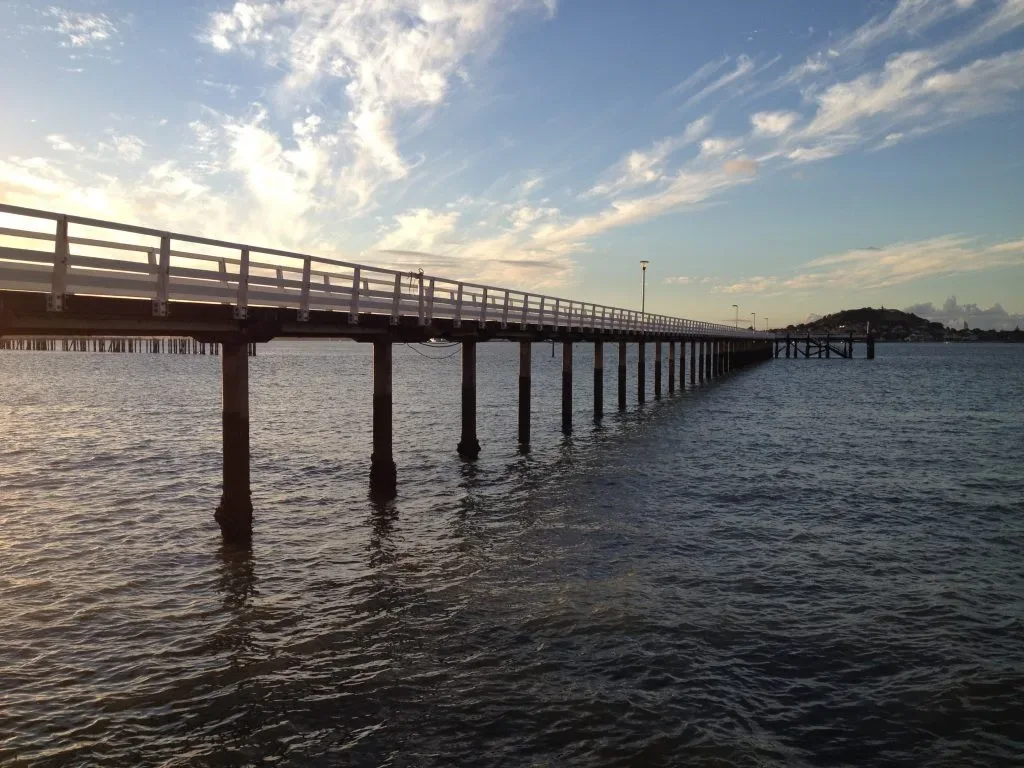 Ōrākei Wharf Piles
