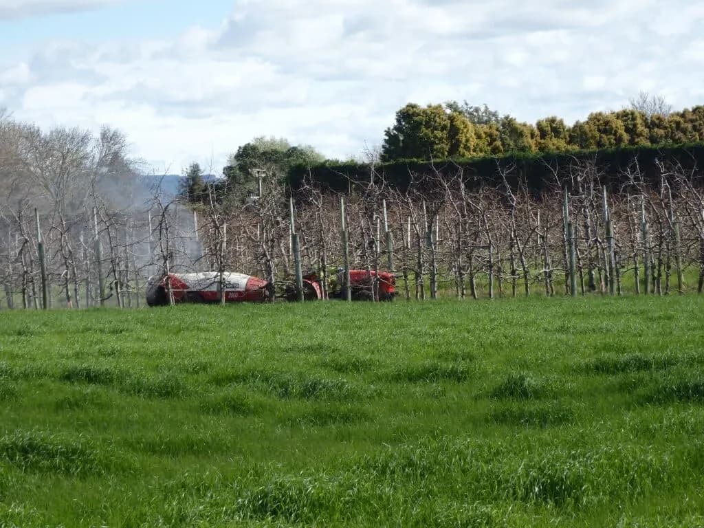Contamination Investigation of Horticultural Site