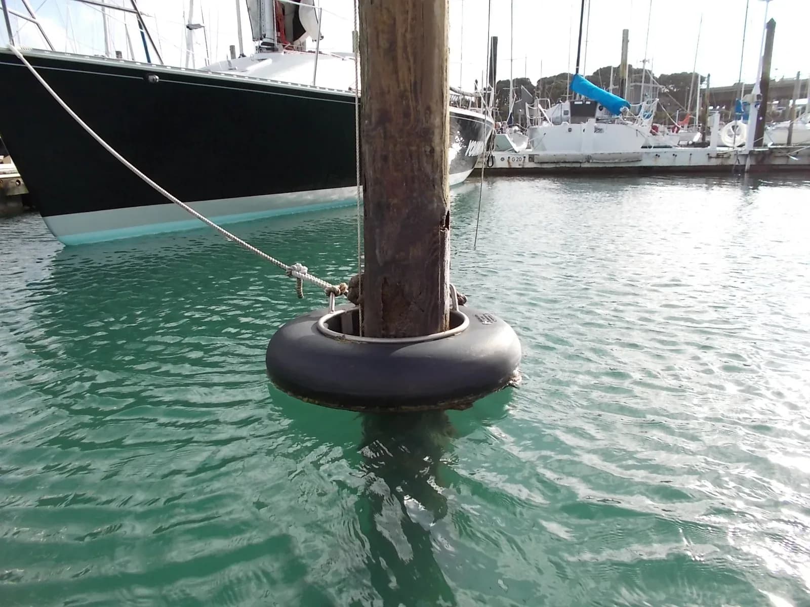 Marina Pile Inspections