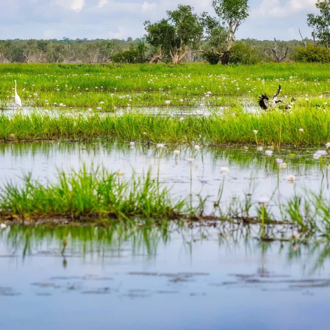 Hydrogeology — LDE