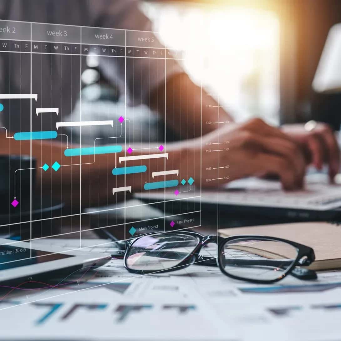 Project Management — LDE