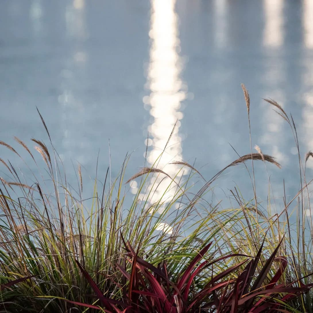 Rivers Streams & Wetlands
