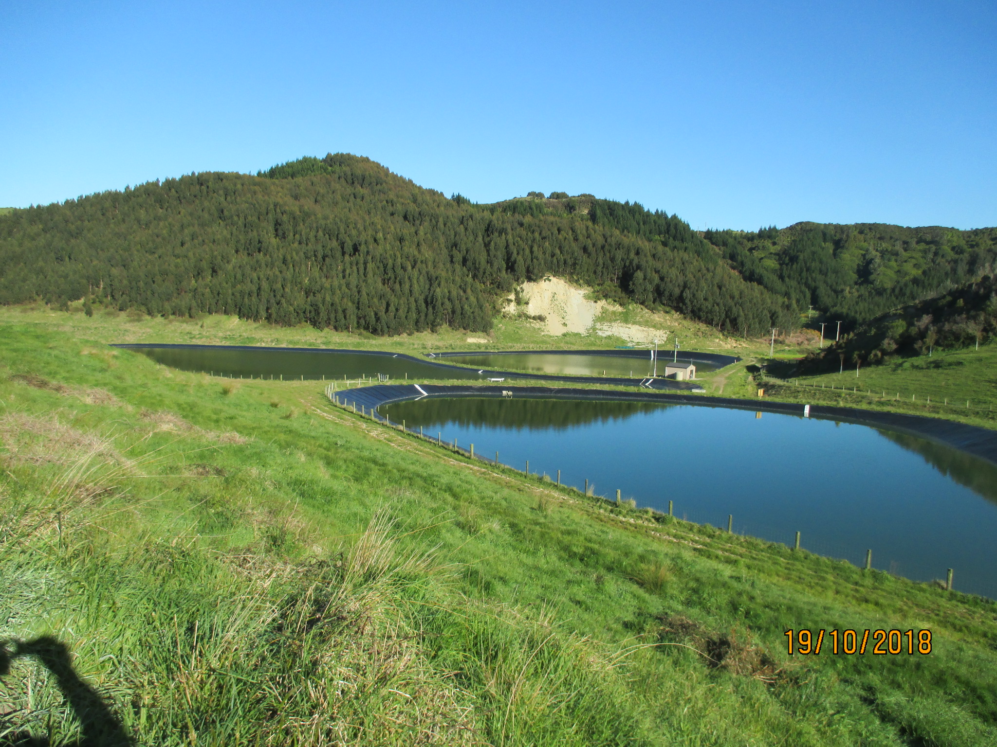 ponds surrounded by grass and a hill with trees